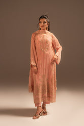 3 Piece Chiffon Embroidered Suit (FL0040)